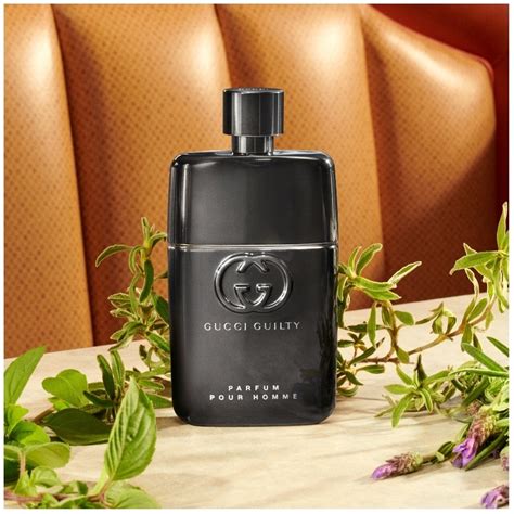 gucci guilty pour homme notes.